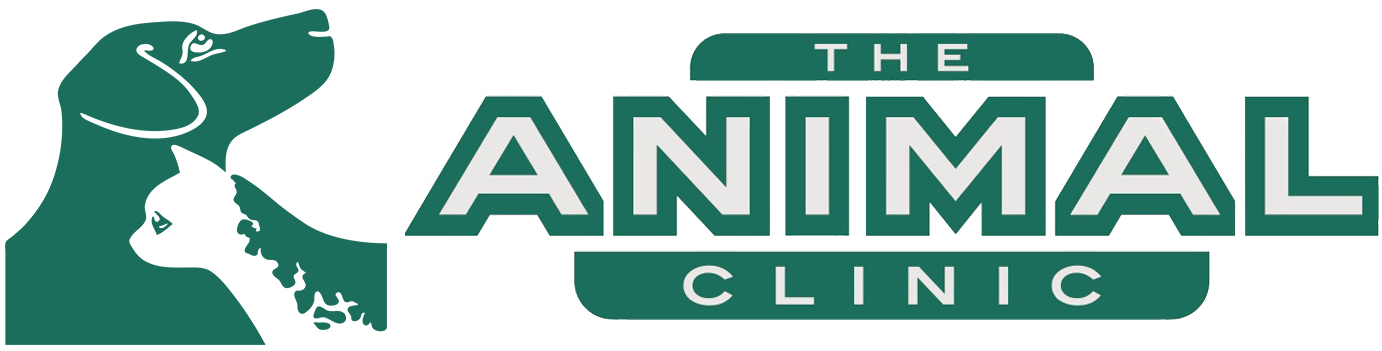 The Animal Clinic - Toronto